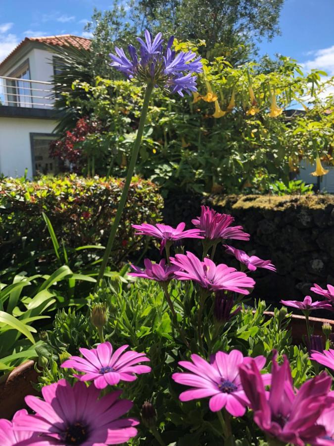 Quinta Da Bela Vista Villa Ponta Delgada  Exterior photo
